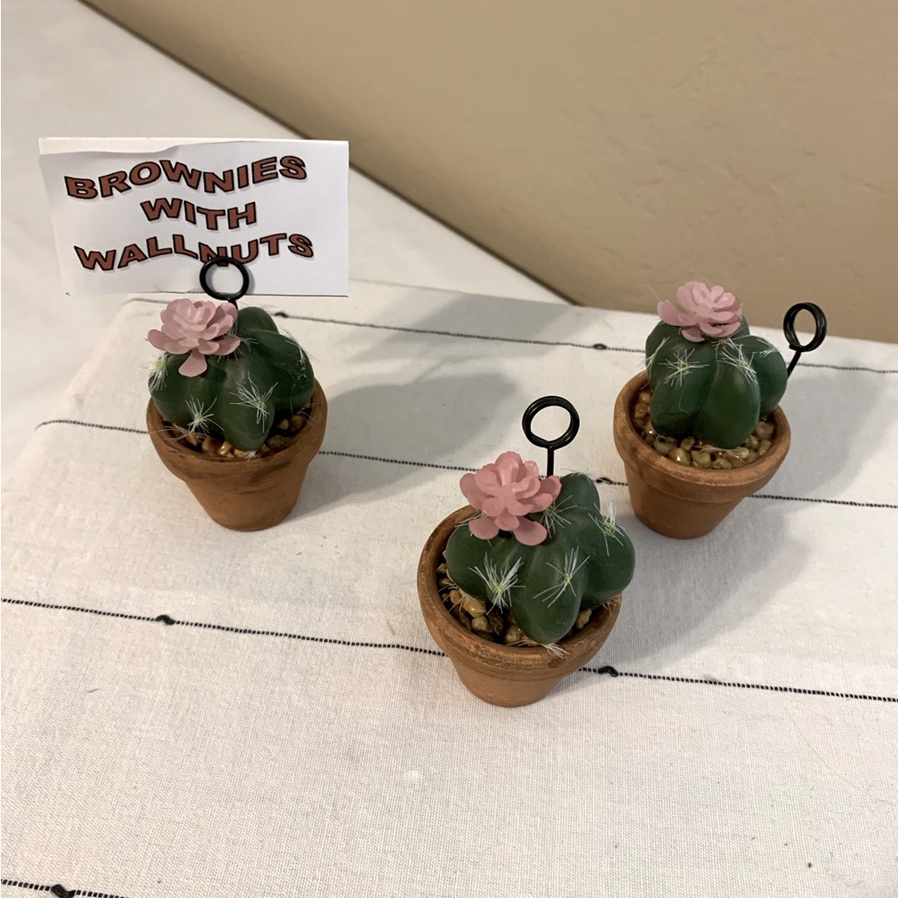 POTTERY BARN SET OF 3 POTTED CACTUS PLACE CARD HOLDERS